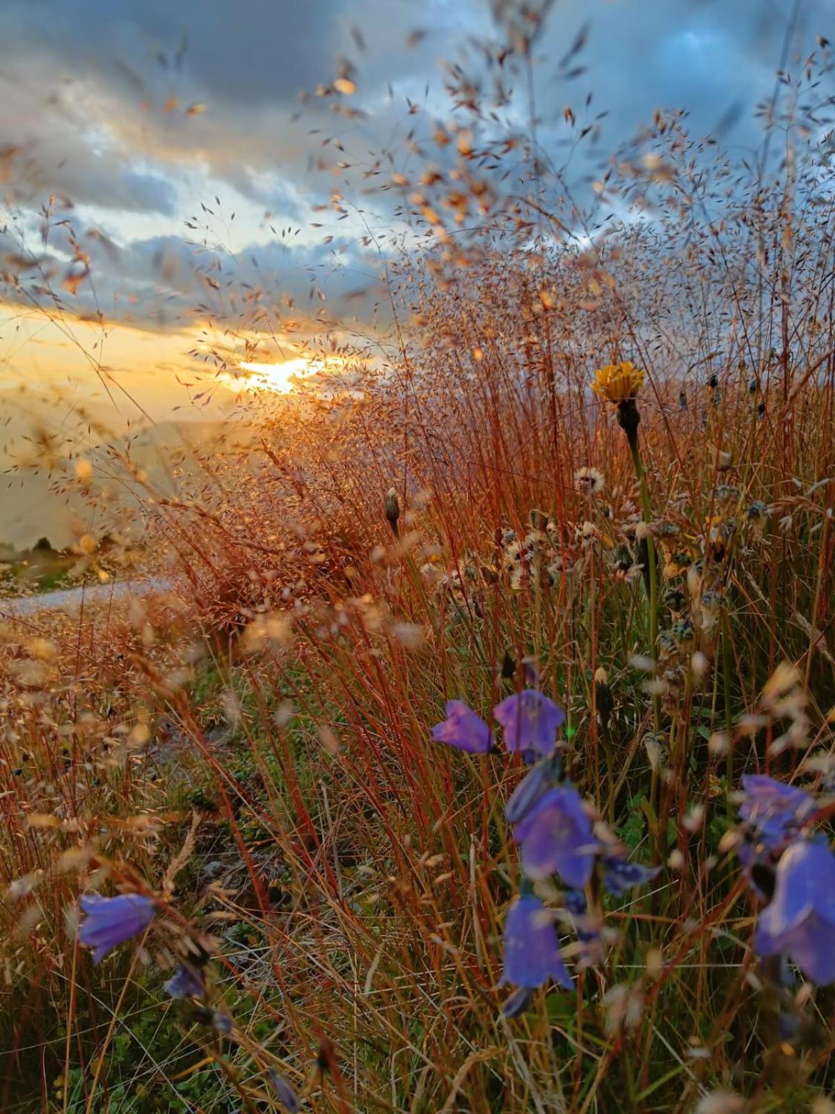 Appartamenti Sonnenuhr Sexten Dış mekan fotoğraf